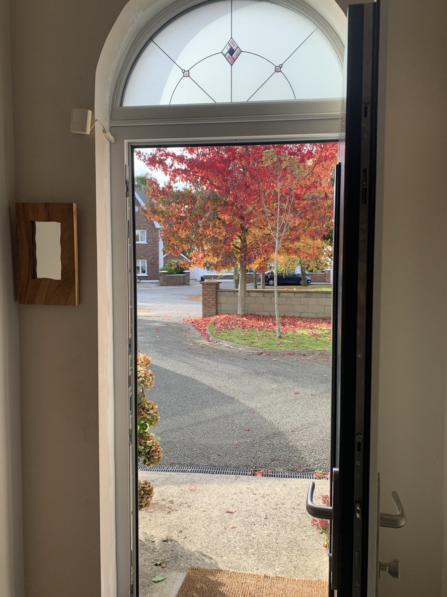 Ruth Ring tweet media