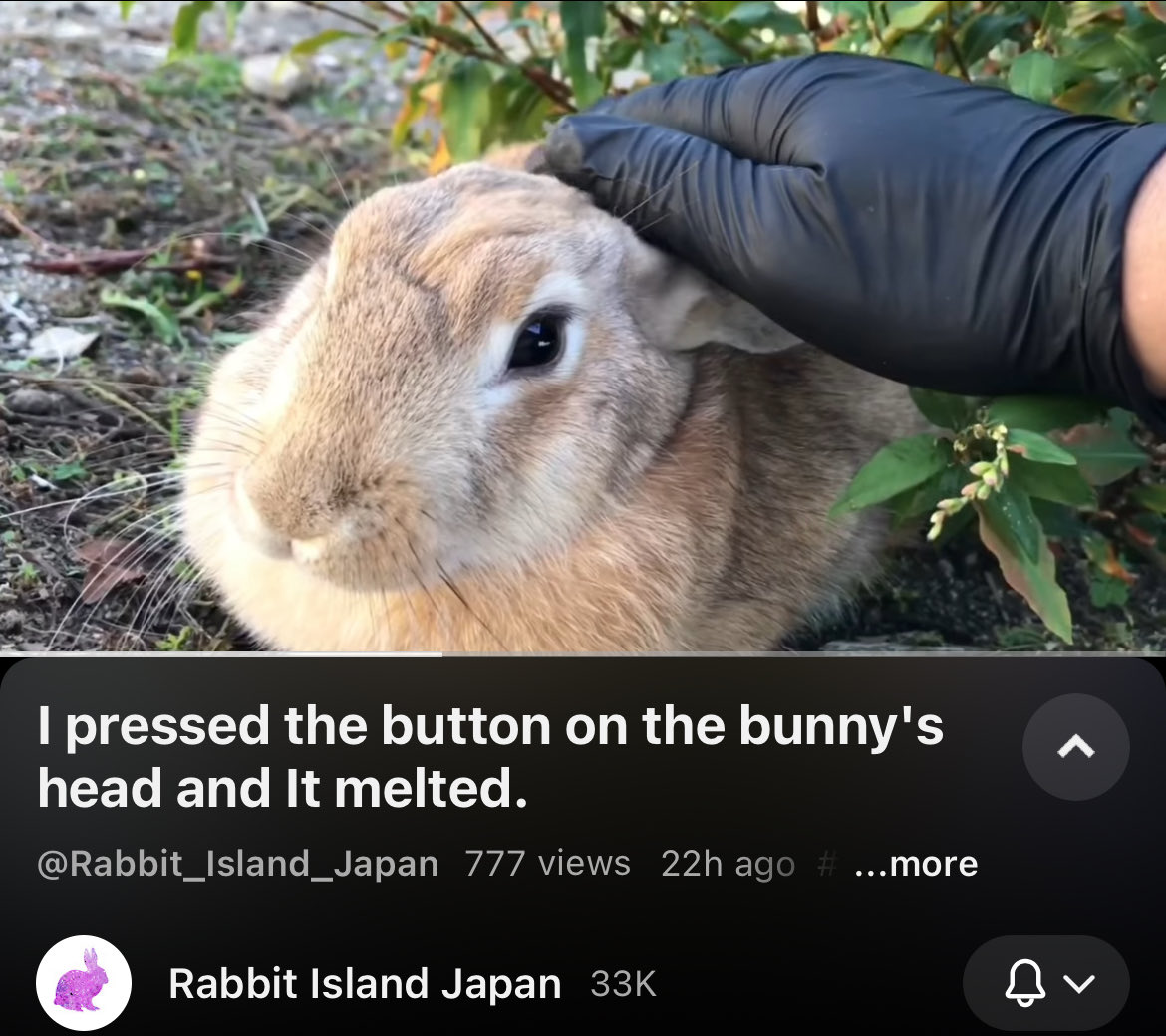 Jodie! 🍉 (break) (@thatdumbjodie) on Twitter photo 