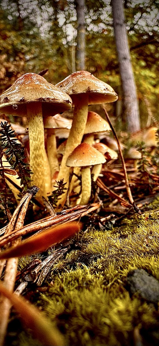 #hardlopen #running🏃‍♂️natte hoed🌧️