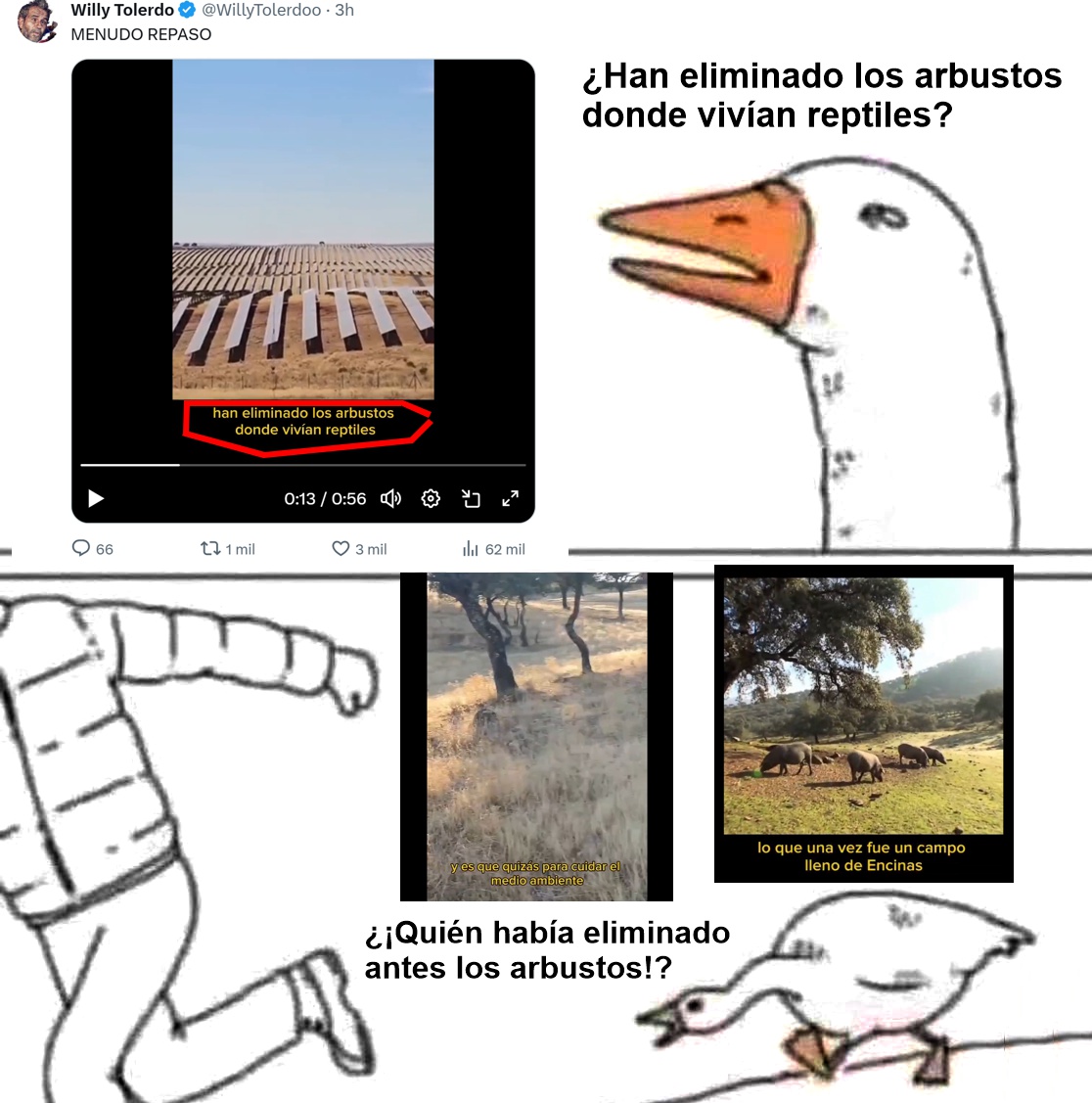 "En el nombre del progreso han eliminado los arbustos donde vivían reptiles"

-¡Jamás les han importado los reptiles!
-Les da igual que en muchas dehesas ya no existan arbustos y que la agricultura haya exterminado a los reptiles sistemáticamente durante siglos

¡PURO POLITIQUEO!