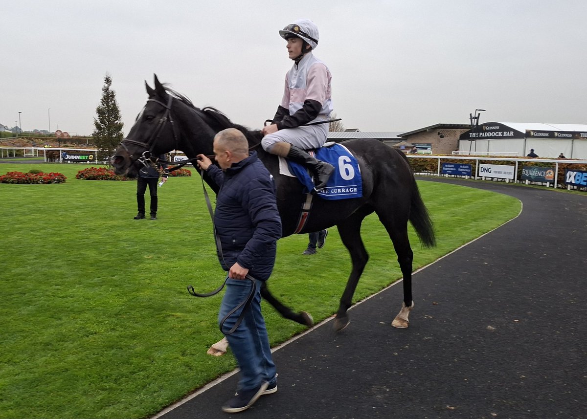 IrishRacing365's tweet photo. Loingseoir won the finale @curraghrace https://t.co/LDoPPJORLq