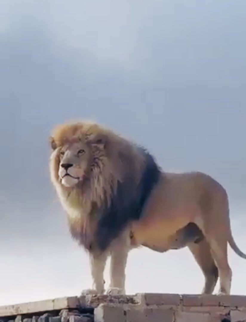 யாரையும் எளிதில் வெறுக்க முடிவதில்லை.. அவர்கள் மீது நான் வைத்த நேசங்கள் முந்திக்கொண்டு சமாதானம் செய்து விடுகிறது...🤧🤧

அன்பு ஒரு உச்சபட்சதண்டனை 💯