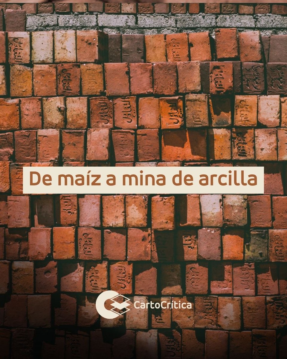 1. Bajo los campos fértiles del valle de Toluca se esconde la arcilla que da forma a nuestras ciudades.

Pero para extraerla, se sacrifican las mismas tierras que antes producían alimento. 🧵