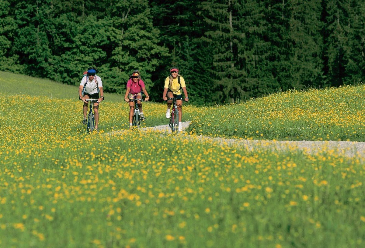 Cycling for Softies tweet media