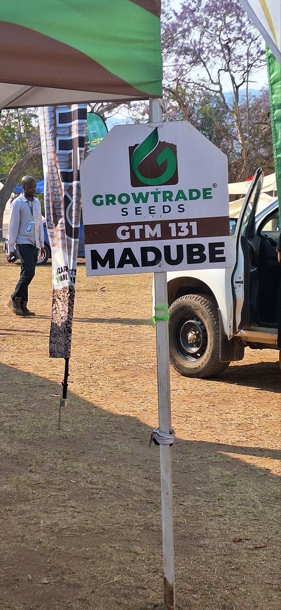 Chihera na MaDube vapindira pa mbeu.
#ZanuPFConference #SMEsExpo #Mutare2025 #Manicaland