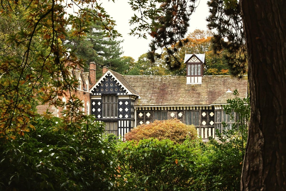 Cracking autumnal colours out there today in West Lancs.

Just needed some bright blue skies to make these pics pop, but sadly it's a very grey day.