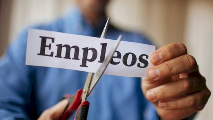 RED92cadadiamas's tweet image. 🥲😟😠 #NoticiasRed92 | #Empleos | #Pérdidas | #Puestos

Se perdieron más de 200.000 puestos de trabajo desde que asumió Milei

red92.com/noticias/se-pe…