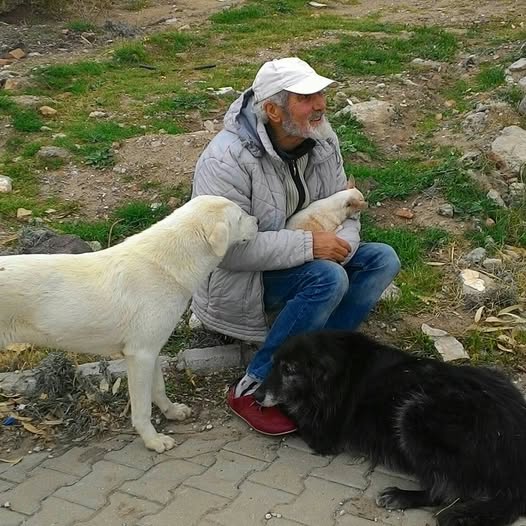 Barış Karabıyık tweet media