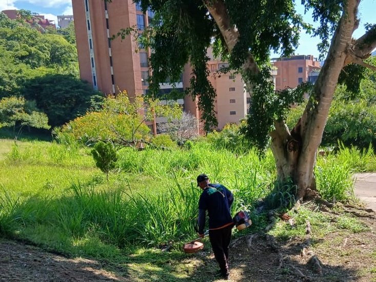 Cuadrillas de Acción Inmediata continúan trabajando por la Calidad de Vida 🍃

✅ Desmalezado, saneamiento y recolección. 
📍Santa Ana, El Cafetal.
📍Caurimare.
📍Piedra Azul.
📍Chuao.
📍Valle Arriba.
📍Parque Los Nonos, Las Minas. 
📍Prados del Este.
📍Valle Arriba.