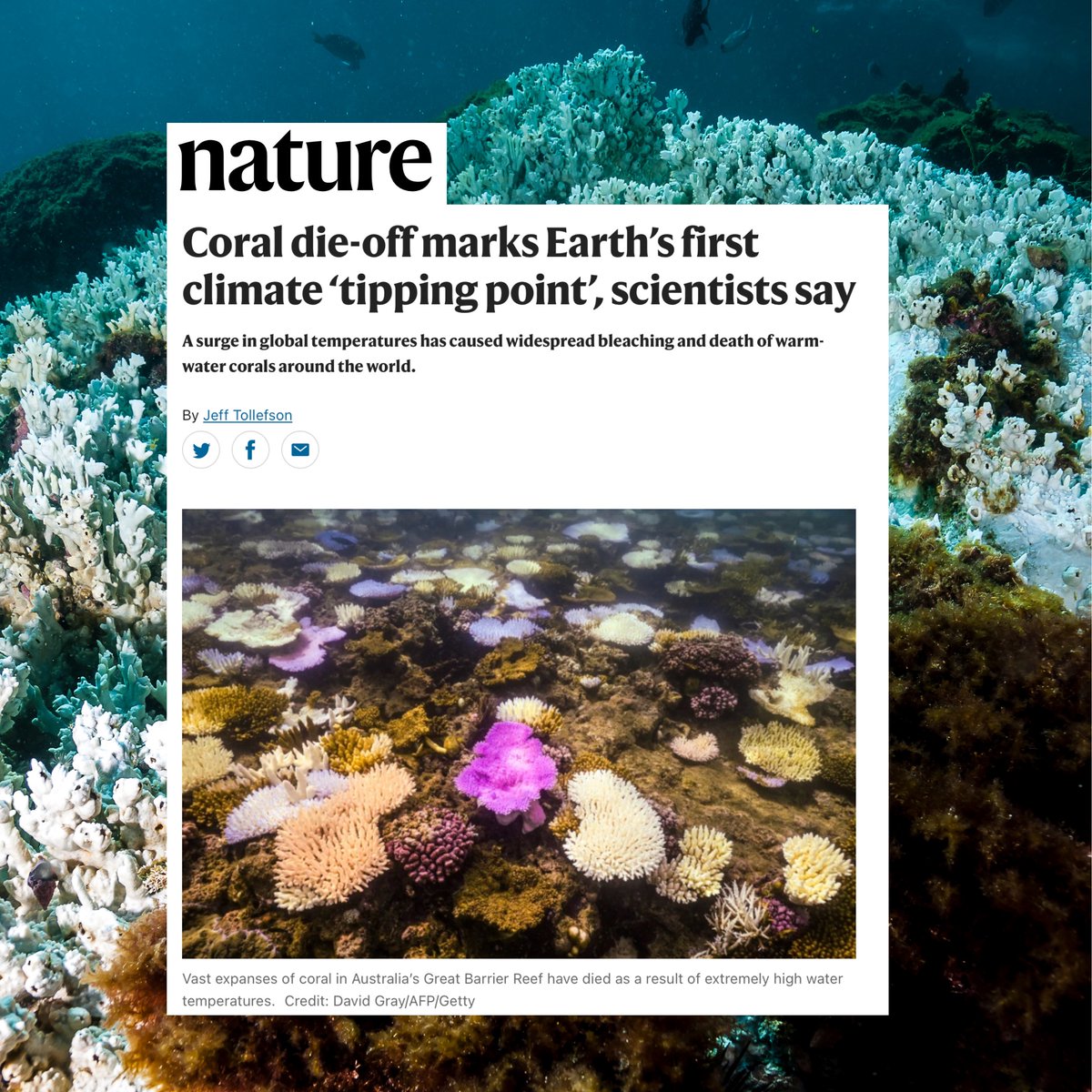 According to a new report from Global Tipping Points, rising heat is driving coral reefs into decline. Without urgent emission cuts, other ecosystems could follow. But by taking action against climate change, we can spark positive tipping points to create a manageable future for