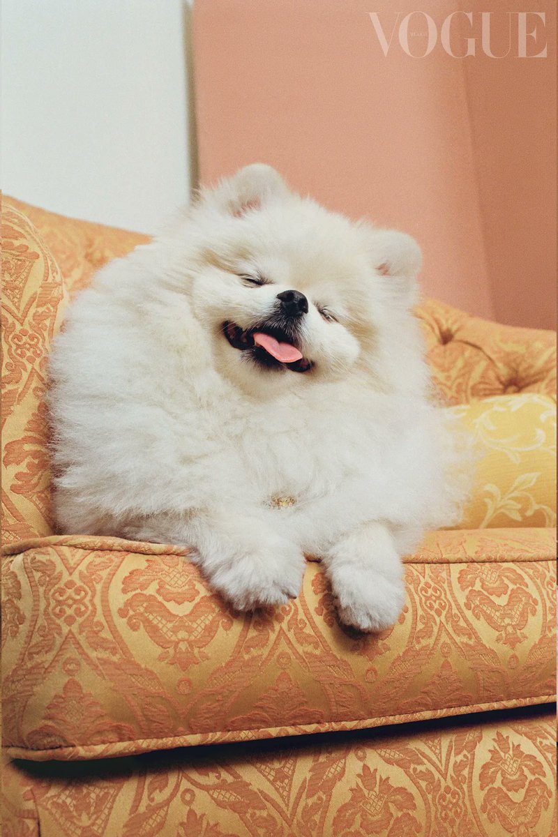 emupdate's tweet image. 📷 Roma para Vogue 👑