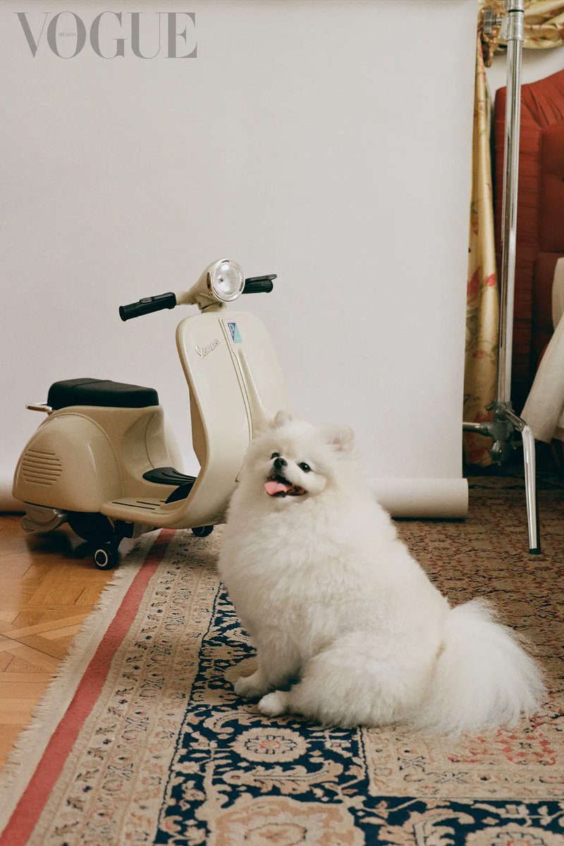 emupdate's tweet image. 📷 Roma para Vogue 👑