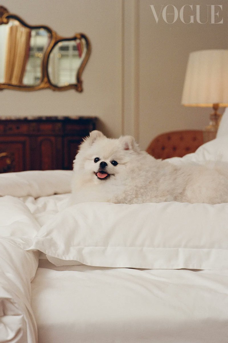 emupdate's tweet image. 📷 Roma para Vogue 👑