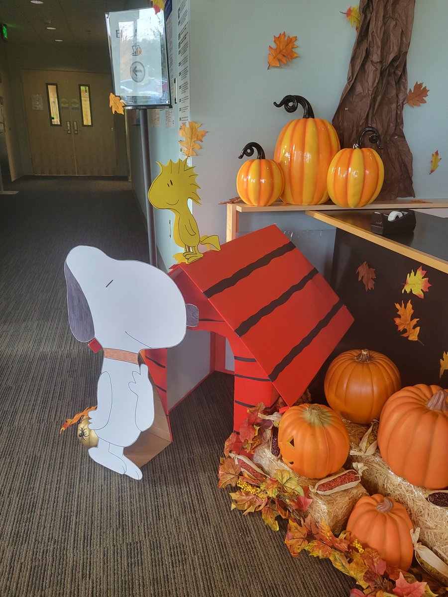 Checkup time. The clinic has this awesome Great Pumpkin themed decoration 😍🍁🎃