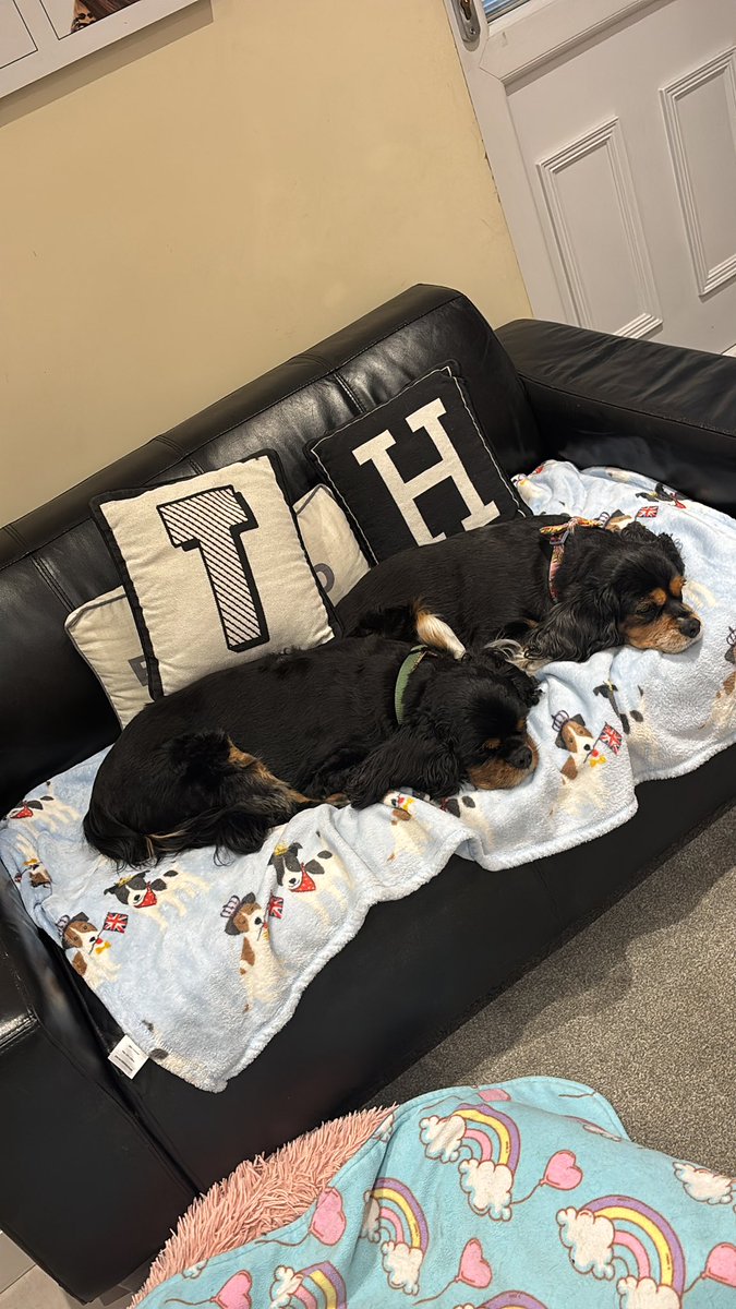 Toby & Harper tweet media