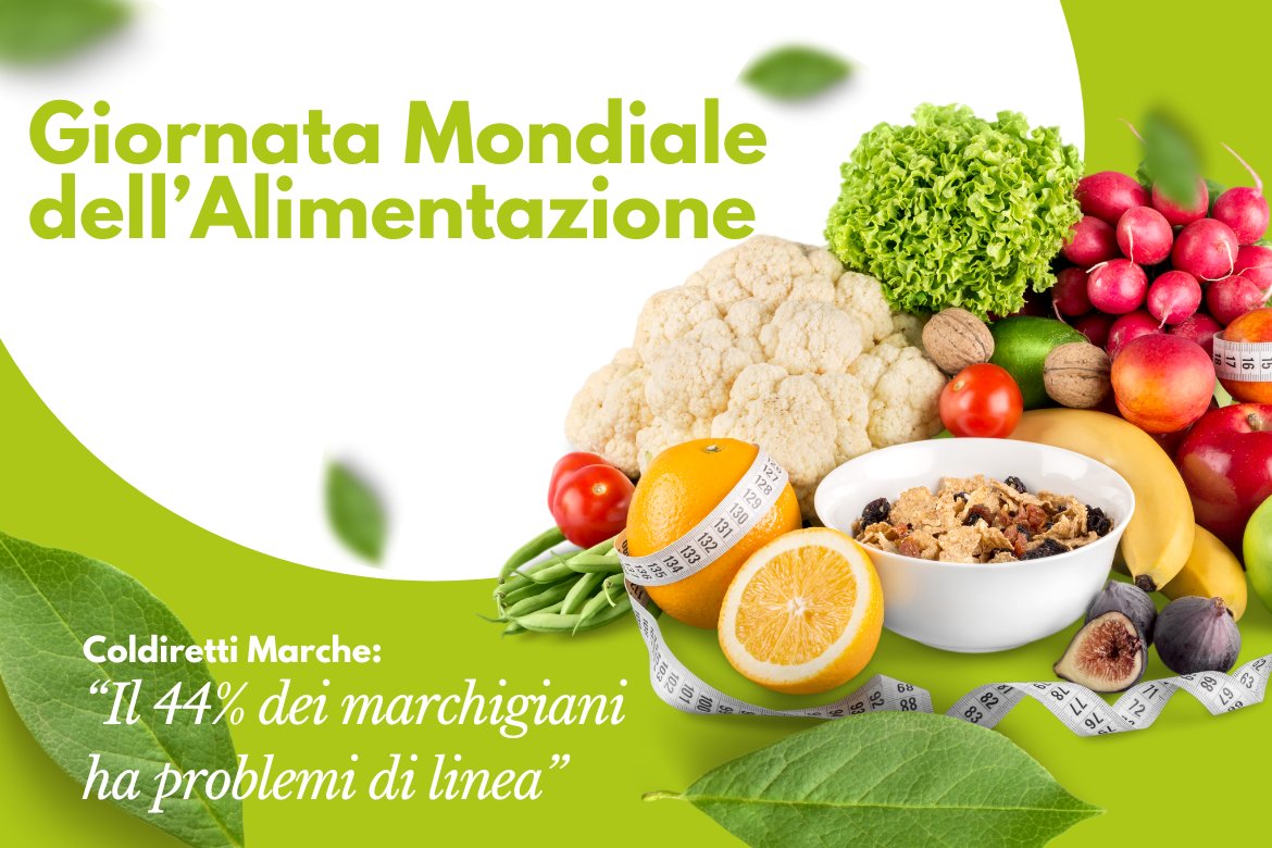 🥦 #GiornataMondialeDellAlimentazione
📊 44% dei marchigiani ha problemi di linea, ma cresce la consapevolezza: più frutta, verdura e legumi, meno carni rosse.
💬 Coldiretti: “La salute passa dalla tavola e dall’attività fisica”.
👉 Leggi su marchenews.it/2025/10/16/gio…
#Alimentazione