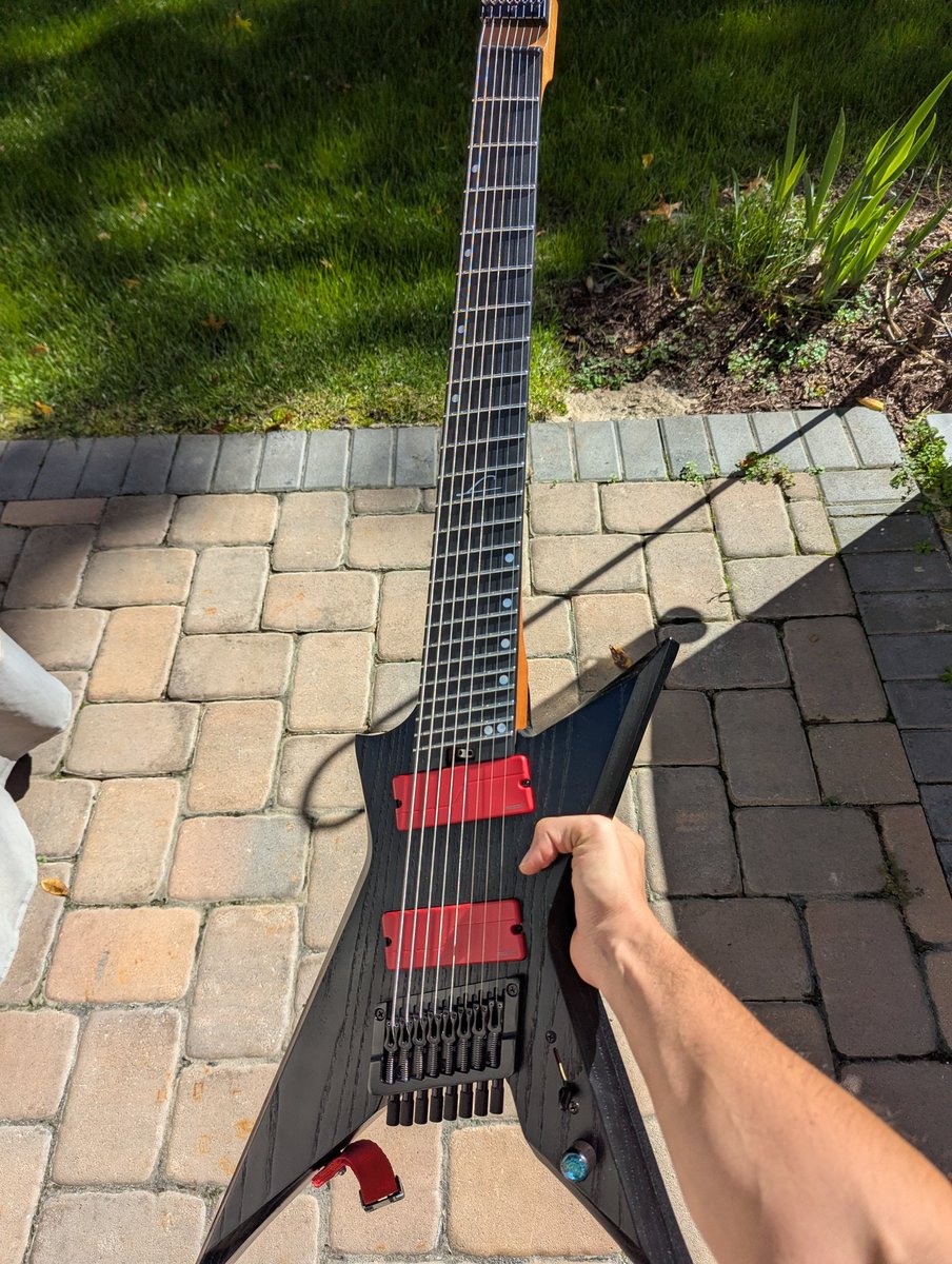 My 8 string is finally back home!!!