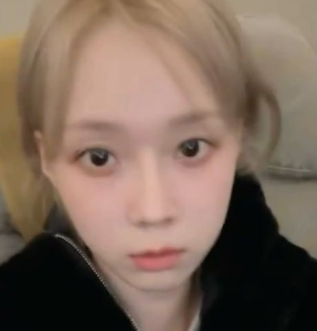 el 🐶🦊 tweet media