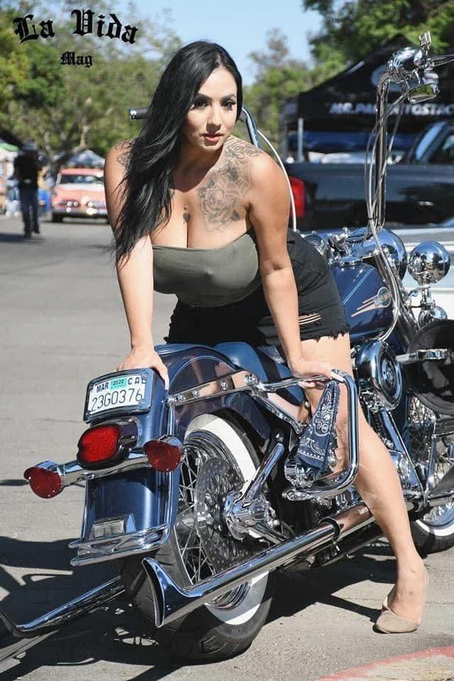 Harley Fuckin Davidson (@hfd69_) on Twitter photo 