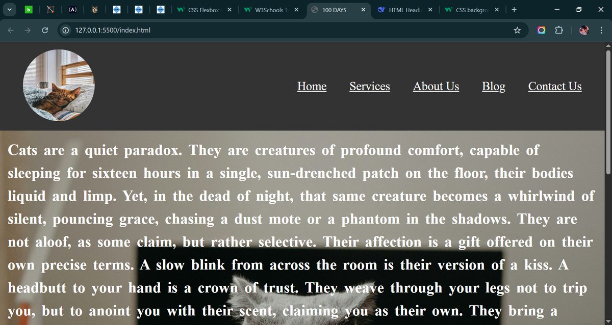 abolaji_web's tweet image. Day 11–14: Flexbox
Master Flexbox for layouts: display: flex, justify-content, align-items.
Practice: Build a navigation bar and a 3-column layout.
#100daysofcoding #buildinpublic #programming