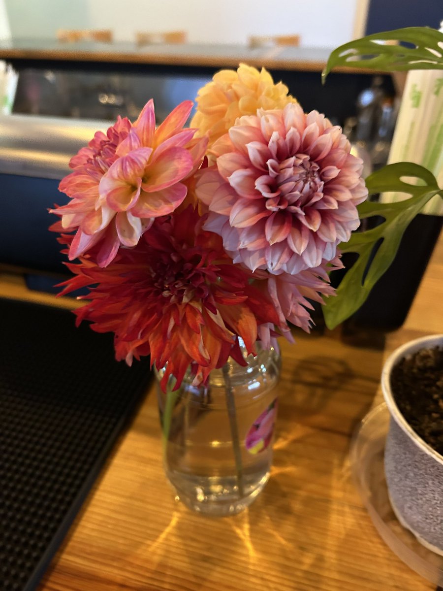 one of my tables gifted me flowers this morning i want to cry