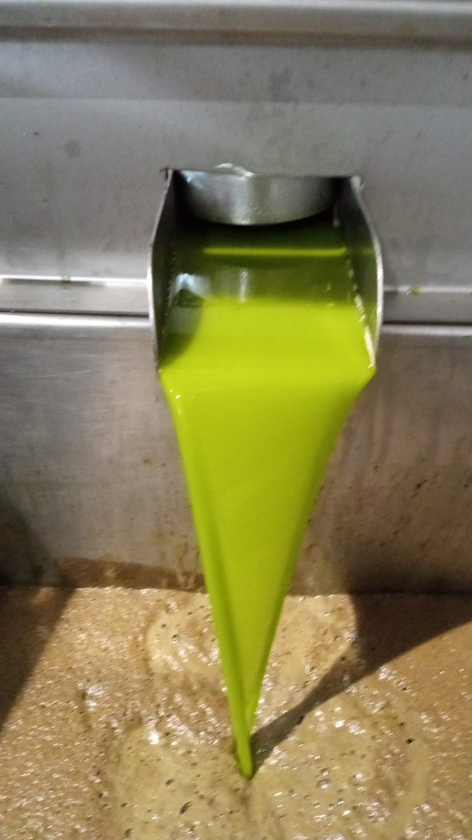 Llegan los nuevos #aove 💚💚🫒
Desde la semana pasada arrancó la #cosechatemprana en Sierra Mágina y aquí os mostramos cómo nacen estos primeros aoves 
Muy pronto podremos disfrutar de ellos 😊