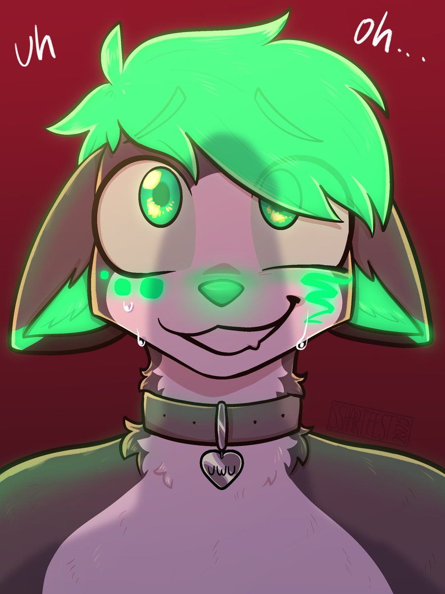 🔞🥝 Bisexual Kiwi💚 tweet media
