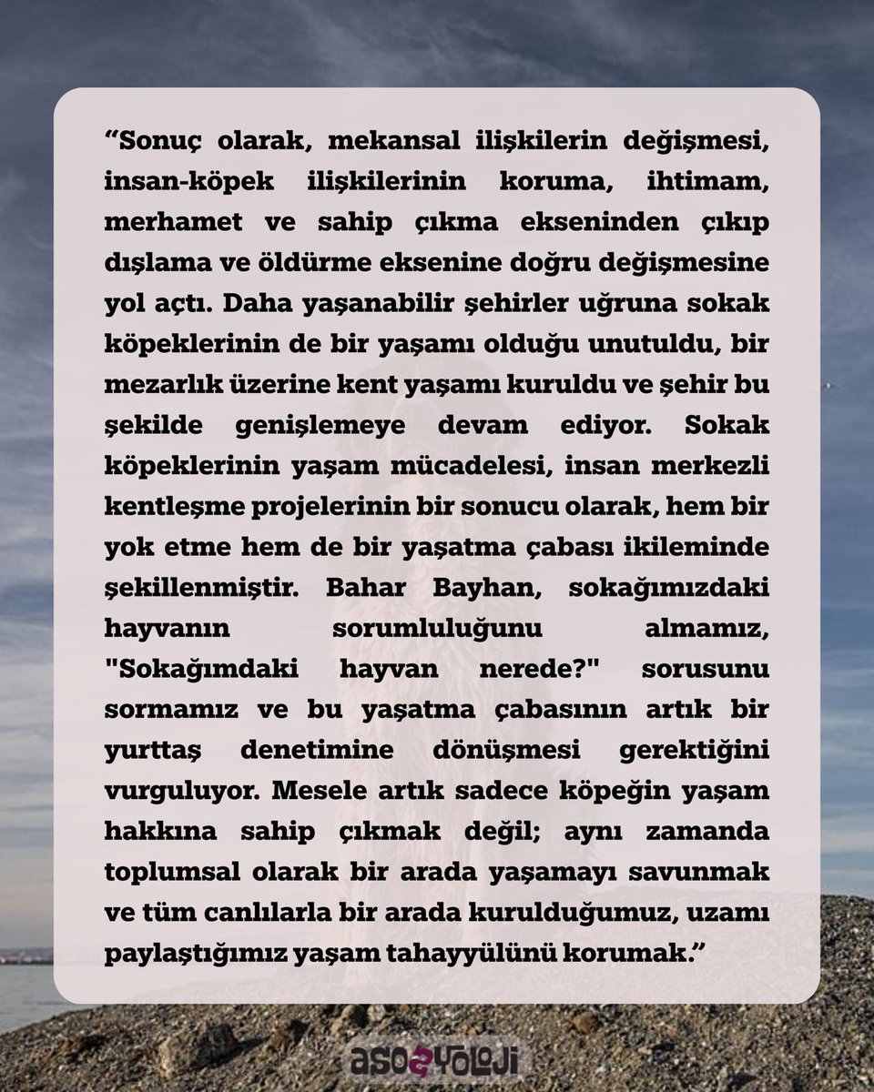 BLOG✍️ | Nilsu Özmen yazdı: Yaşanabilir Şehirler Uğruna Unutulan Yaşamlar

asosyoloji.com/yasanabilir-se…