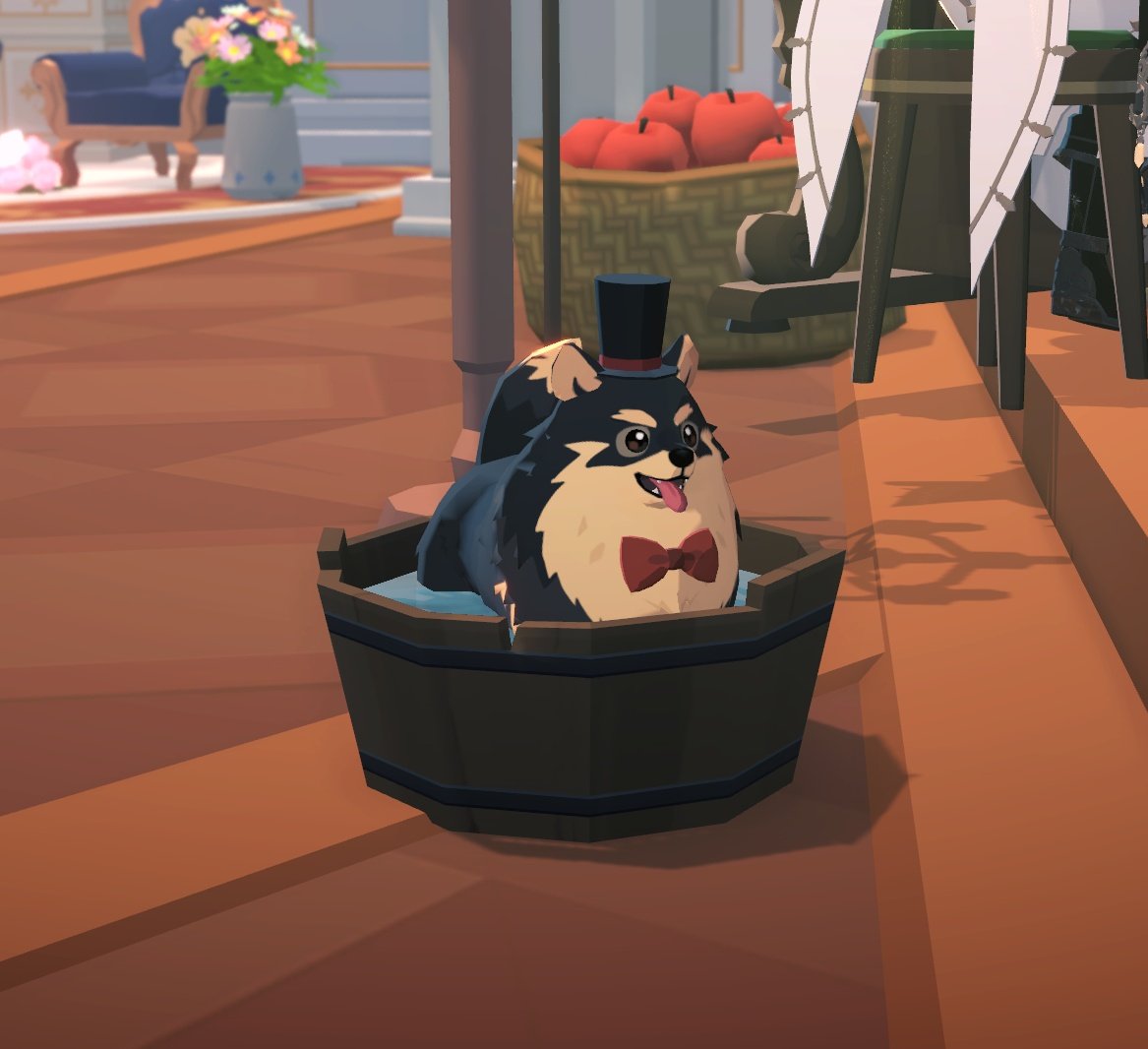 내가 물로 변하고 난 뒤 한 것
가나디들 목욕 시키기