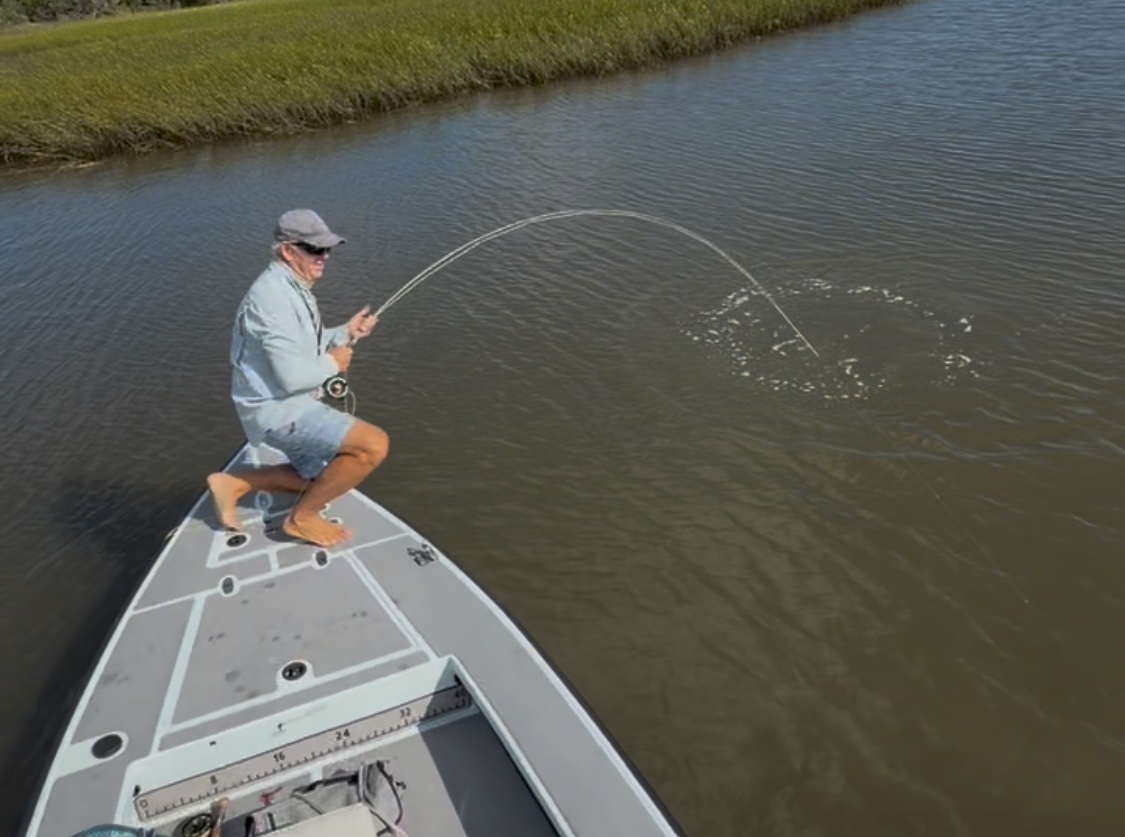 tarponmadness's tweet photo. Not all fishing stories have happy endings. https://t.co/ewEo70USIz
