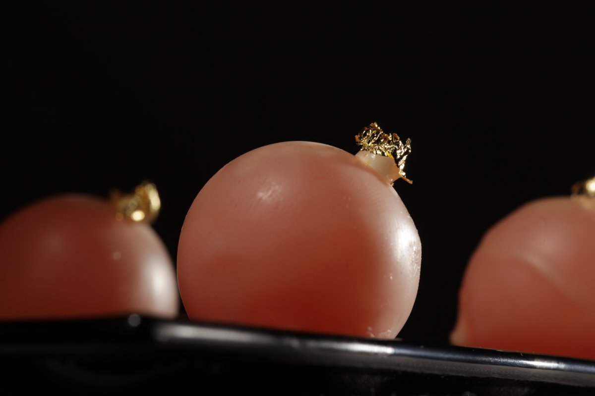 Bombon Campari (2023)