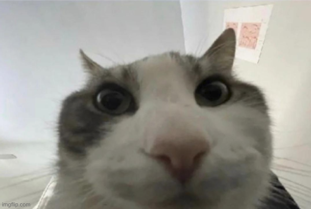 &gt; mcp
&gt; look inside
&gt; json over http