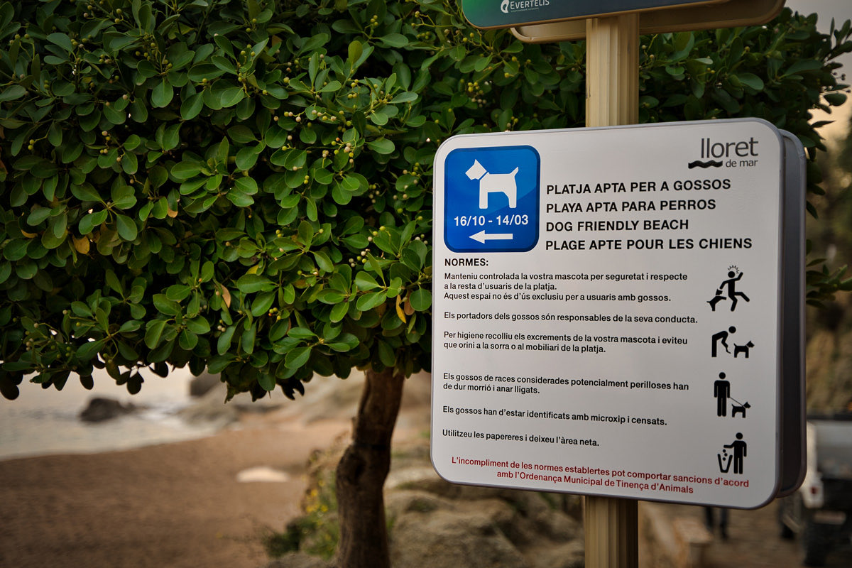 🐶 A partir d'avui, 16 d'octubre, entra en funcionament la platja per a gossos a #LloretdeMar

🏖️ Zones: Punta Garbí (platja de Fenals), el passeig de sa Caleta i Sa Caravera

📆 Del 16/10 al 14/03