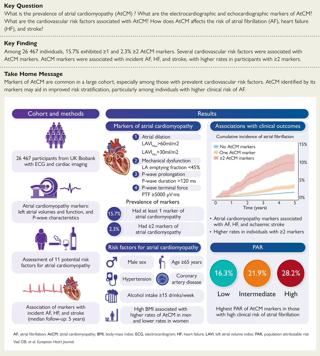 📢 Excited to share our newest publication in the EHJ!

🫀 In &gt;26k individuals without prior AF or HF, 1 in 7 had markers of atrial cardiomyopathy. 
↗️ Markers were linked with higher rates of AF, HF, and stroke. 

Now online:
🔗doi.org/10.1093/eurhea…

<a href="/ESC_Journals/">European Society of Cardiology Journals</a> <a href="/RigsHeart/">RigsHeart 🫀🚨</a>