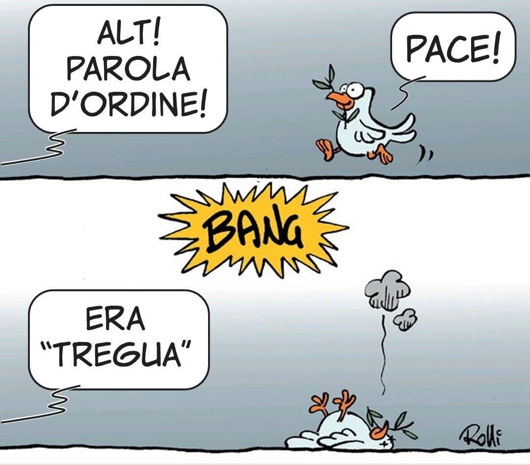 George Panara (@georgepanara) on Twitter photo 