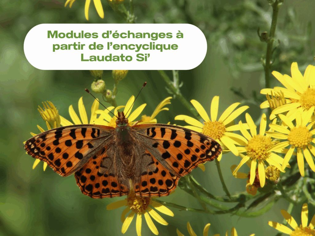 Pour les 10 ans de l’encyclique, l’équipe diocésaine à l’écologie propose 4 modules d’échange, clés en main et adaptables, à vivre en paroisse, en doyenné… 
buff.ly/r1mmQ9i