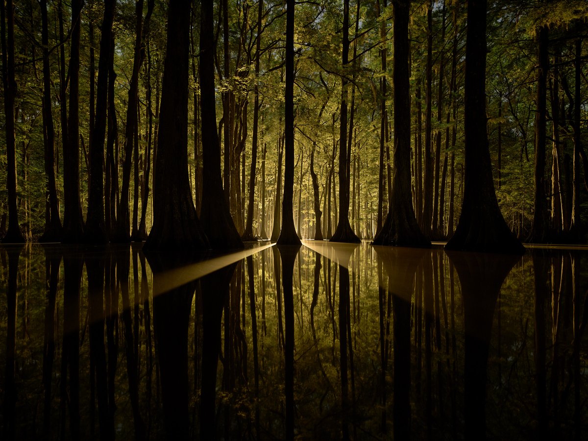 Frank Relle tweet media