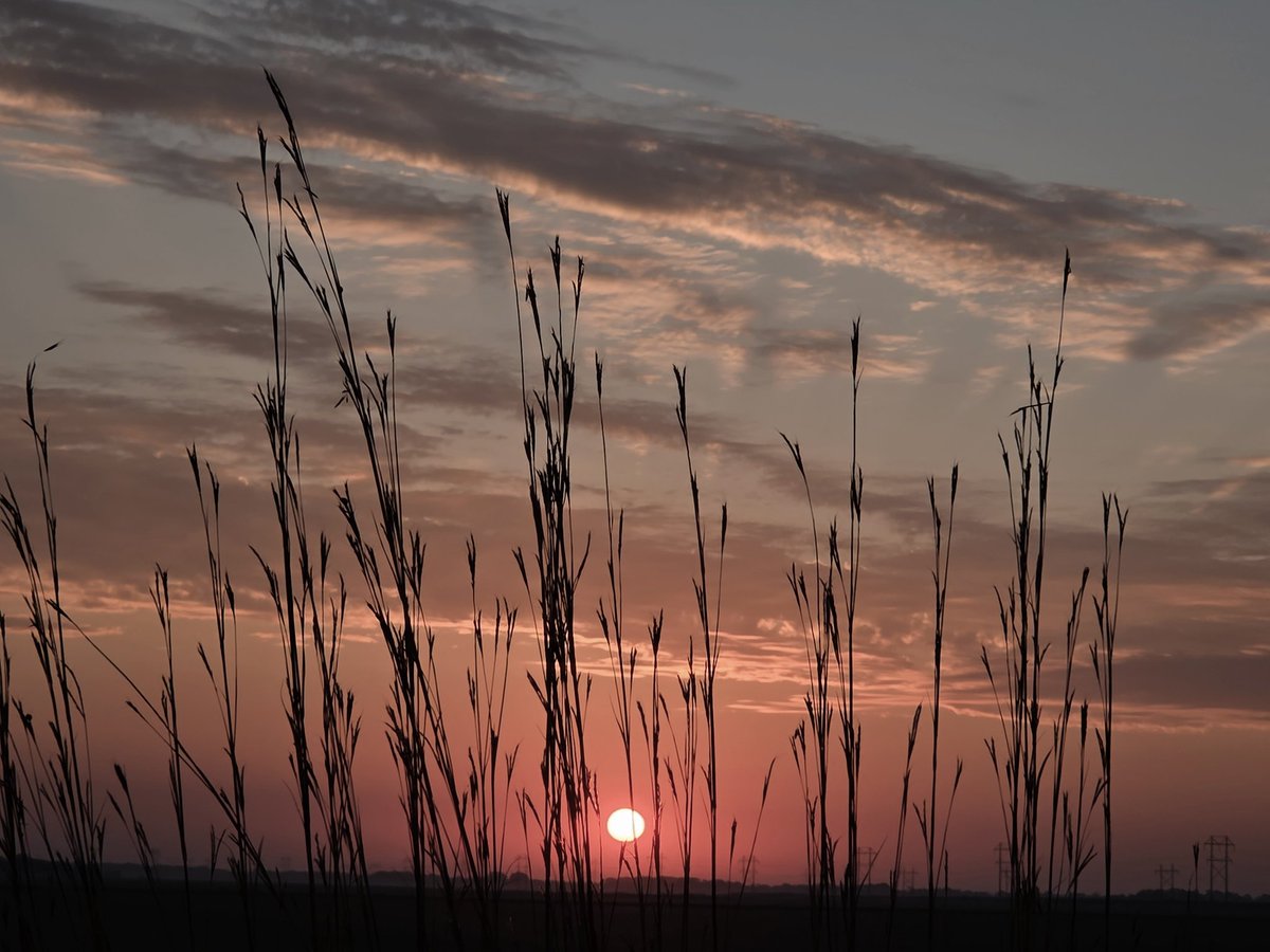 Ms. LuvyK tweet media