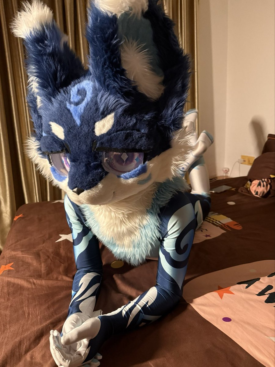 luomo74689's tweet photo. 更新两张 #zentai  #furry https://t.co/056p06BNbx