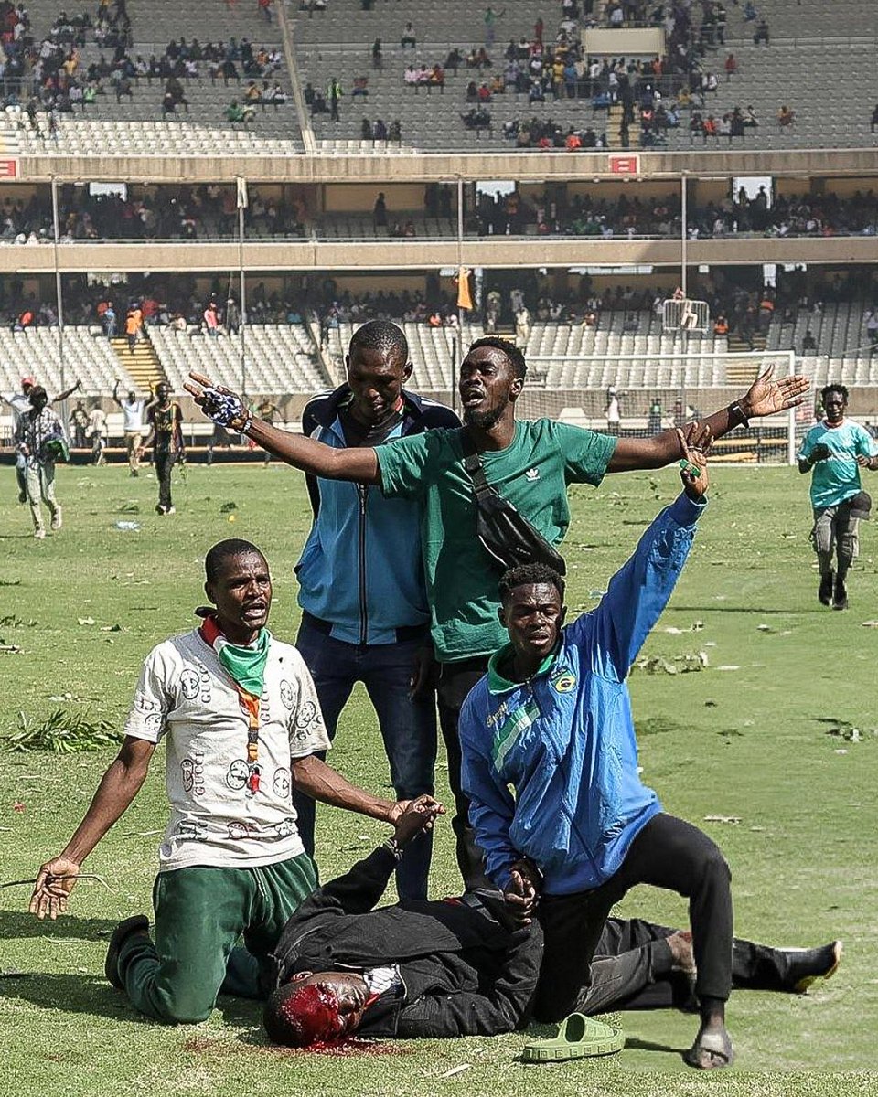 Trusted Pilot ⭐ tweet media