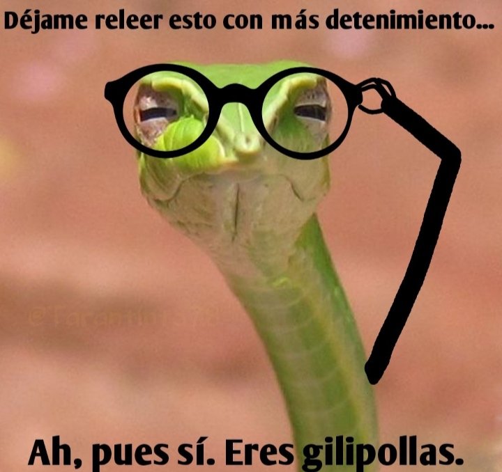 Beatriz Bandera Valladares🔻 tweet media