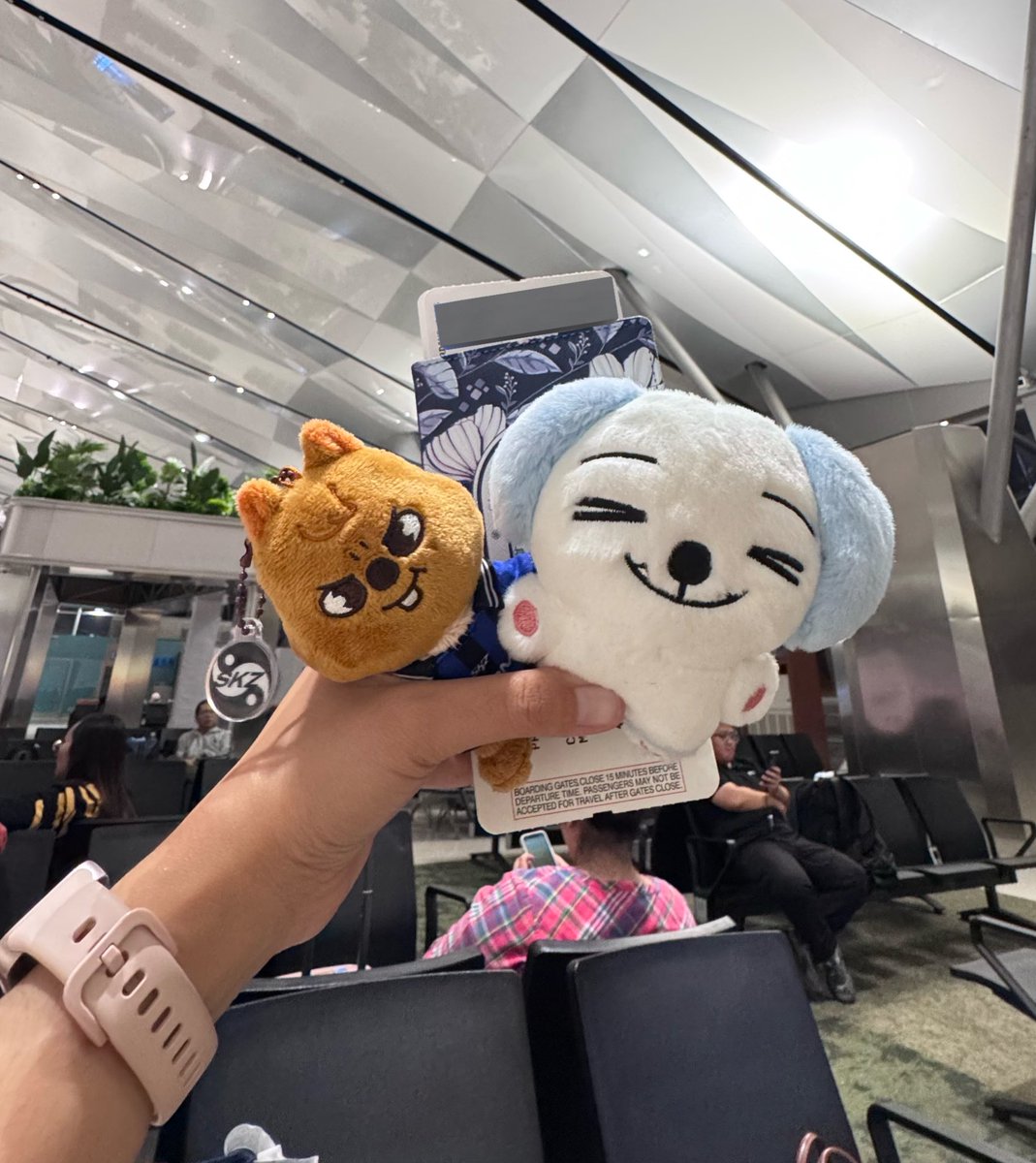 누나무🐶 tweet media