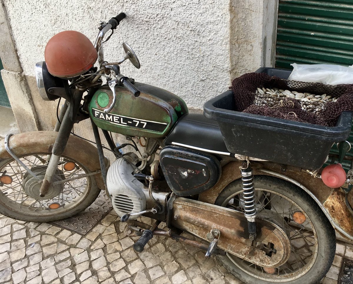 Deichprofil tweet media