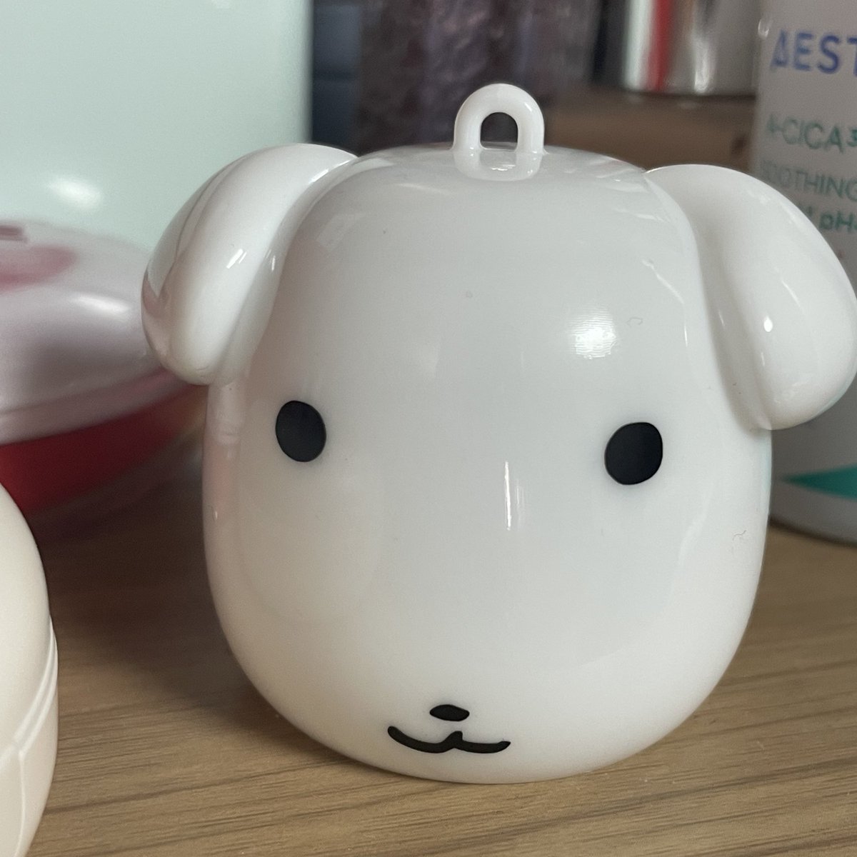 가나디 데려옴 ㅎㅎ