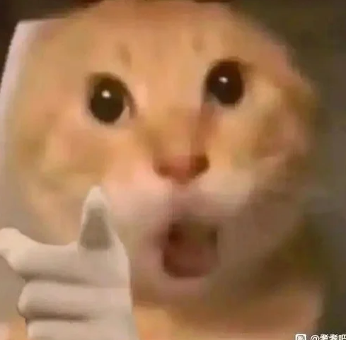 什么是国际避险资产啊?  (后仰