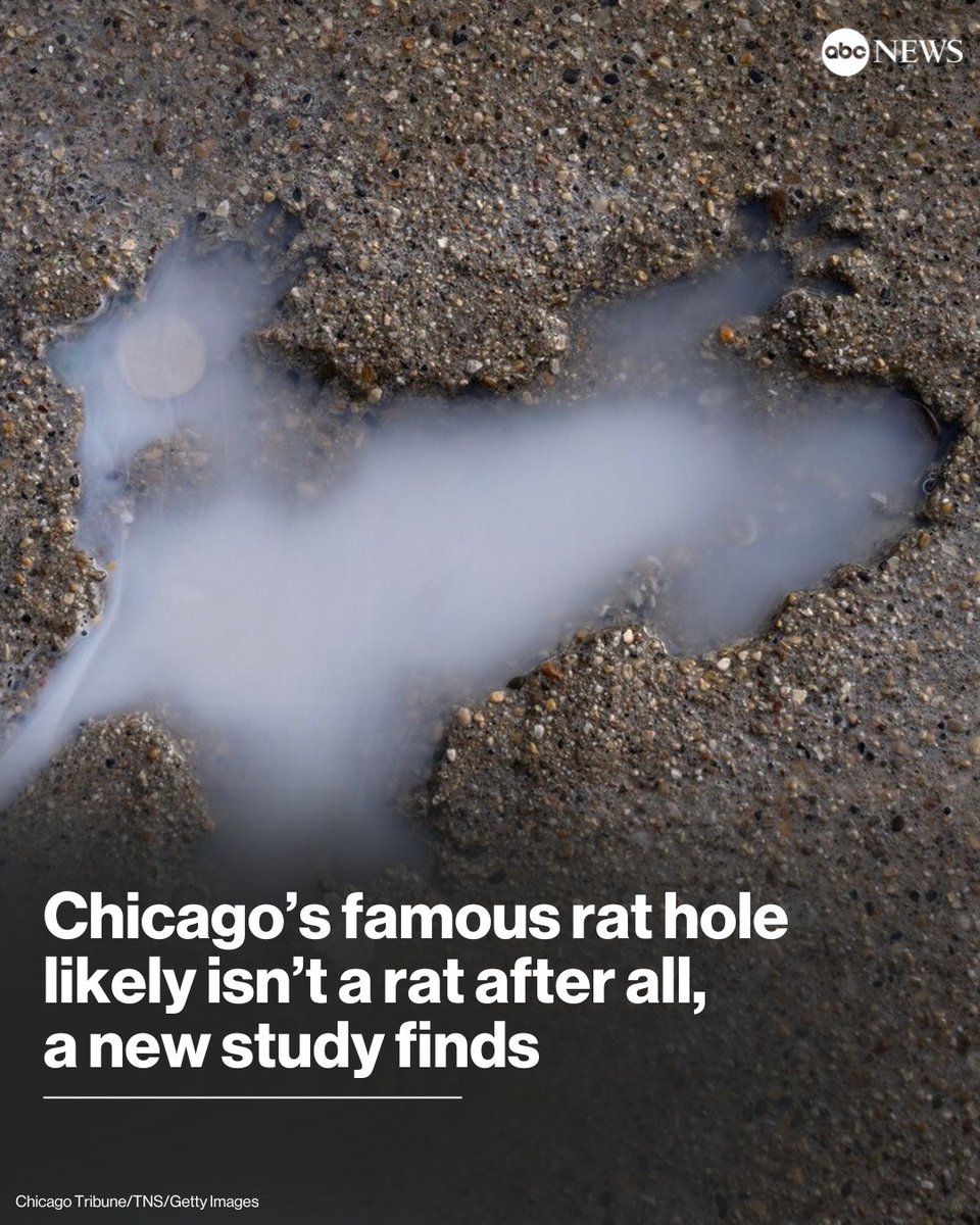 ABC's tweet photo. A new study has determined that Chicago’s famous "Splatatouille" rat hole was never made by a rat to begin with, but rather a squirrel. https://t.co/Rxfdlp7QxP https://t.co/OSWe6qfDSU