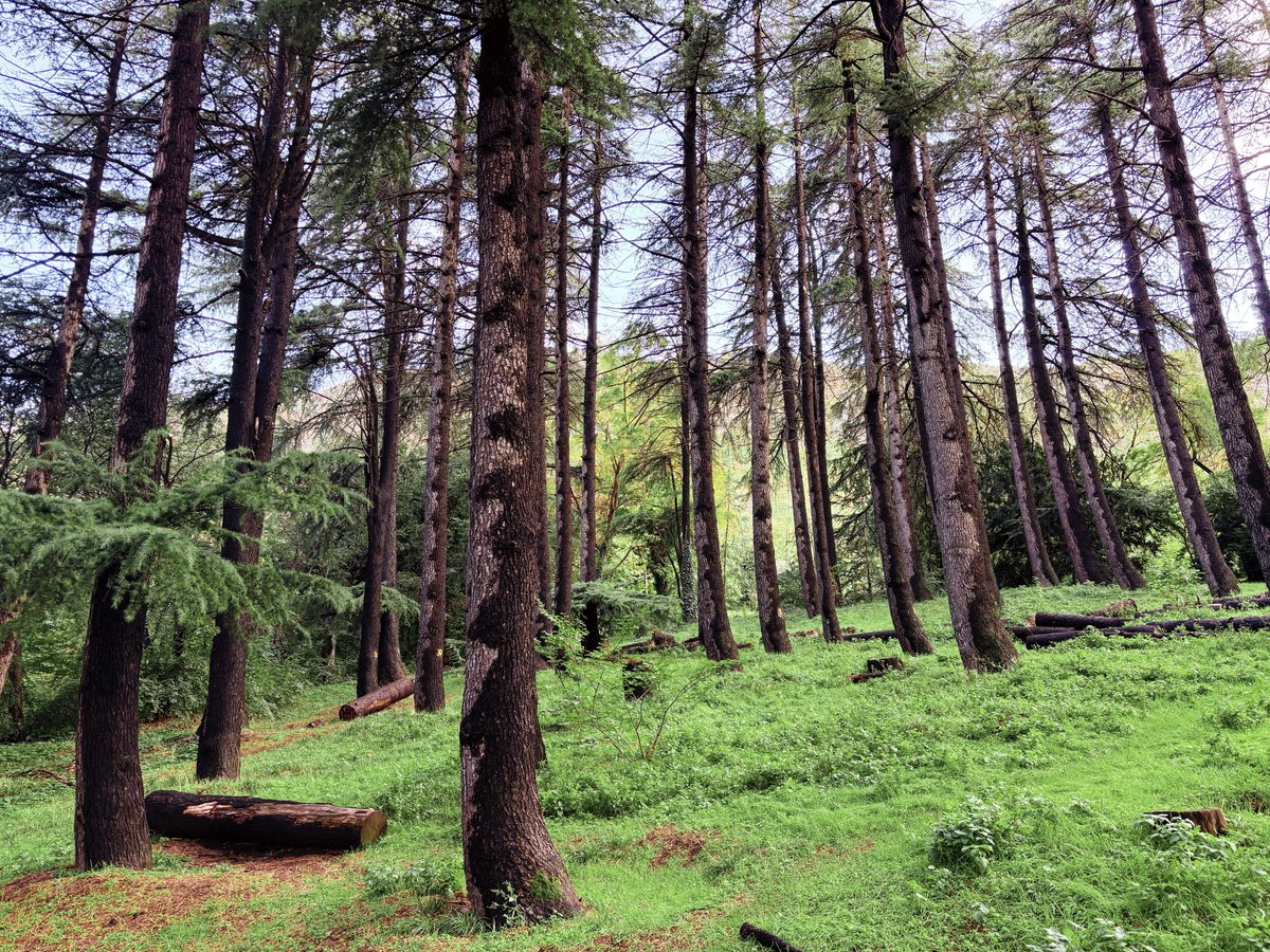 Walking someplace wonderful