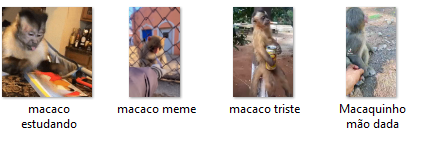 Organização ta em dia