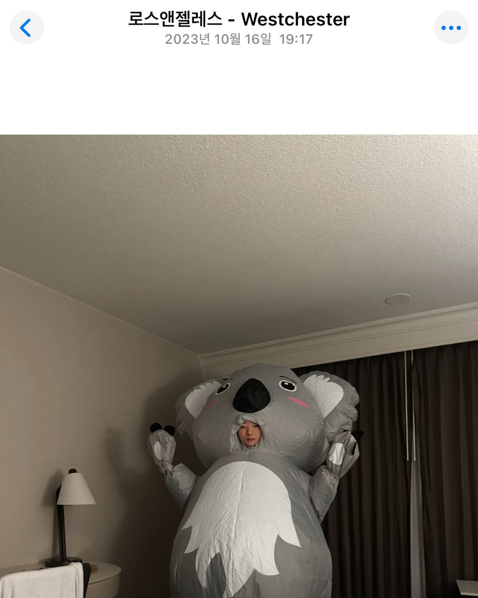 2년전 오늘 친구 생일축하해준다고 이거 엘에이까지 들고가느라 캐리어에 공간없어서 잠옷도 없이 청바지 입고 잔 내가 지금생각해봐도 어이없음