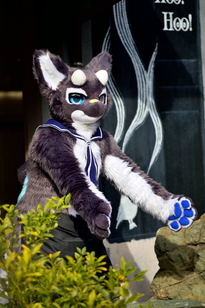 謎ポーズ
#fursuitfriday